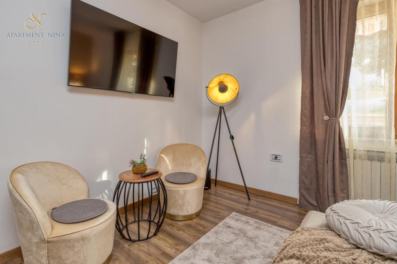 Apartment Nina Pazin Extérieur photo